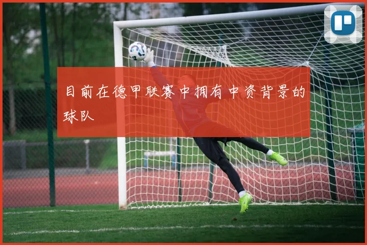 目前在德甲联赛中拥有中资背景的球队