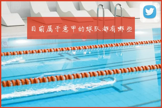 目前属于意甲的球队都有哪些