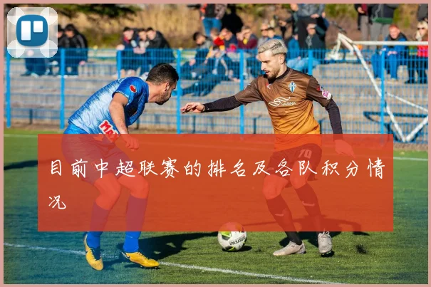 目前中超联赛的排名及各队积分情况