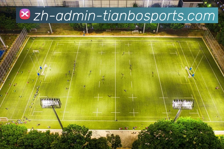 天博综合体育APP 体育赛事宣传图